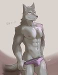  abs anthro blush bulge canine clothed clothing colored cotton_(artist) looking_at_viewer male mammal muscular muscular_male pecs purple_underwear simple_background skimpy solo teasing topless underwear undressing 