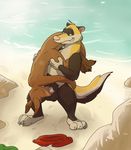  2016 69_position anthro beach duo erection fellatio ferret hi_res josh_(paintfox) kangaroo male male/male mammal marsupial mustelid nude oral paintfox penis raz_buckner seaside sex standing_69 upside_down 