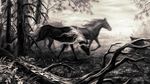  2017 alaiaorax ambiguous_gender detailed_background digital_media_(artwork) duo equine feral grass greyscale hooves horse mammal monochrome 
