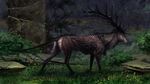 2017 alaiaorax ambiguous_gender antlers cervine day deer detailed_background digital_media_(artwork) feral grass horn mammal rock solo 