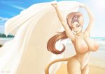  2017 anthro beach big_breasts breasts brown_hair feline female green_eyes hair huge_breasts invalid_tag katrina llmixll looking_at_viewer mammal navel nipples nude pussy sand seaside sky solo water 