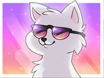  canine eyewear fluffy fur male mammal meme simple_background smile smirk snout snowshiba_(artist) sunglasses white_fur wolf 