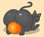  anthro barefoot big_butt black_fur butt cat eyelashes feline food fruit fur huge_butt mammal open_mouth pink_background pumpkin shadow simple_background theycallhimcake whiskers 