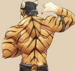  2017 anthro armband back_muscles belt biceps brown_fur chung0_0 claws clothed clothing feline fur hat male mammal muscular muscular_male orange_fur pants simple_background solo standing stripes tiger topless triceps underwear white_fur 