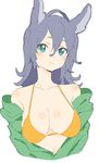  :&lt; absurdres animal_ears bangs bare_shoulders blonde_hair blush bra breasts closed_mouth cropped_torso donguri_suzume green_eyes green_jacket hair_between_eyes highres jacket large_breasts looking_at_viewer navel off_shoulder orange_bra simple_background solo underwear upper_body white_background 
