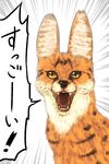  emphasis_lines fangs kemono_friends looking_at_viewer no_humans open_mouth serval serval_(kemono_friends) shirosato shouting solo translated yellow_eyes 
