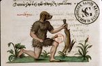  1566 16th_century ambiguous_gender ancient_furry_art angelos_vergekios anthro canine club_(weapon) creative_commons cynocephalus dog duo feral flower fur grass greek greek_text hare hi_res holding_object holding_weapon kneeling lagomorph license_info male mammal melee_weapon navel nude plant predator/prey proper_art renaissance side_view text traditional_media_(artwork) weapon 