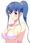  attsun_(atsushi_jb) bad_id bad_pixiv_id bikini blue_eyes blue_hair face long_hair original ponytail solo swimsuit 