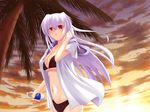  bikini bottle breasts hood hood_down hoodie large_breasts long_hair niza_emon open_clothes open_shirt original palm_tree pocari_sweat purple_hair red_eyes shirt solo summer sunset swimsuit tree 