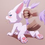  2017 a_cat_is_fine_too anal big_penis butt darkmirage digimon erection female gatomon penis pussy size_difference small_dom_big_sub 
