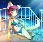  2016 anthro bikini black_nose blue_eyes blush brown_fur canine clothed clothing dog female fur inner_ear_fluff looking_at_viewer mammal navel open_mouth outside pika25 red_eyes sky solo star swimsuit water wet 