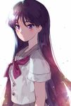  bangs bishoujo_senshi_sailor_moon black_hair blush grey_sailor_collar hino_rei long_hair mayo_(becky2006) purple_eyes red_neckwear sailor_collar school_uniform serafuku short_sleeves solo sunlight very_long_hair white_background 