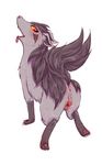  anus black_fur blush canine female feral fur gaping grey_fur kiriya mammal mightyena nintendo pok&eacute;mon pok&eacute;mon_(species) presenting pussy red_eyes saliva simple_background solo teeth tongue tongue_out video_games white_background yellow_sclera 