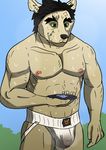  anthro barazoku bulge canine clothing dog excersise jockstrap labrador male mammal muscular musk nipples underwear 