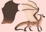  2017 dragon echolus feral horn hyena male mammal membranous_wings model_sheet solo standing terryburrs wings 