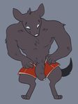  anthro big_penis boxer_briefs canine clothed clothing dosent dressing flaccid fur grey_fur ice_wolf_(undertale) male mammal partially_clothed penis simple_background solo topless uncut undertale underwear underwear_aside video_games wolf 