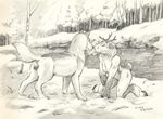  2017 animal_genitalia animal_pussy anthro antlers anus breasts canine canine_pussy cervine duo female feral greyscale horn kneeling mammal monochrome nude outside pussy reindeer scale_(artist) signature sketch wolf 