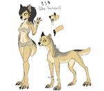  4_toes 5_fingers anthro barefoot black_nose canine coyote digital_media_(artwork) digitigrade female feral fur grey_fur grey_hair hair mammal model_sheet navel poisoned_(artist) simple_background solo tan_fur toes white_background yellow_eyes 