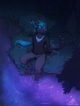  2017 4_toes anthro barefoot blue_hair clothed clothing digital_media_(artwork) digitigrade grass hair headphones male neotheta partially_submerged reflection sitting sky smile solo star starry_sky toes unknown_species water 