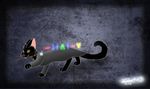  2016 cat feline feral halloween holidays looking_at_viewer magic magic_cat_academy mammal momo_(google) nekori wand yellow_eyes 