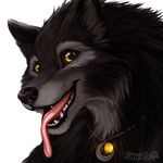  2017 canine close-up fangs fur happy hi_res jewelry mammal multicolored_fur necklace panting pendant portrait shadow_wolf shalinka smile teeth tongue tongue_out two_tone_fur were werewolf yellow_eyes 