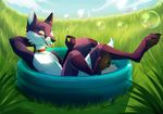  4_toes anthro black_lips black_nose black_pawpads bubble canine collar day detailed_background digital_media_(artwork) digitigrade fox fur grass hindpaw male mammal nude outside pawpads paws poisoned_(artist) purple_fur red_collar sitting smile soles solo toes water white_fur yellow_eyes 
