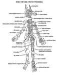  1girl anatomy breasts lab_zero_games no_humans robo-fortune robot robot_girl science skullgirls x-ray 