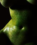  breasts edit female naphtali photo_manipulation reptile scales scalie solo tagme torso 