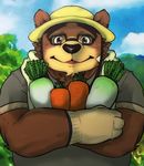  2017 anthro bear blush brown_fur clothed clothing eyewear fur glasses goujuyu hat male mammal solo straw_hat tokyo_afterschool_summoners volos 