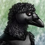  2017 anthro avian beak bird black_clothing black_feathers black_shirt black_topwear brown_eyes clothed clothing conditional_dnp corvid crow feathers male ratte shirt solo tank_top 
