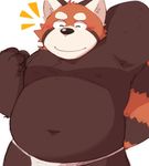  2017 96tning anthro belly blush clothing fundoshi japanese_clothing male mammal moobs overweight overweight_male red_panda simple_background solo underwear white_background 