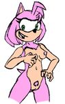  amy_rose breasts female fours_(artist) pubes pussy sonic_(series) 