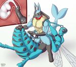  2017 abdomen abs animal_genitalia animal_penis antennae anthro arthropod balls biceps big_muscles black_penis canine collar compound_eyes cum digital_drawing_(artwork) digital_media_(artwork) digitigrade duo eeveelution erection exoskeleton fur herm hybrid impious insect insect_wings intersex lucario male mammal mandibles multi_arm multi_limb muscular muscular_male nintendo nipples open_mouth pecs penetration penis pok&eacute;mon pok&eacute;mon_(species) pussy riocynn sex simple_background vaginal vaporeon video_games wasp wings 