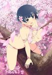  1girl breasts senran_kagura solo yozakura_(senran_kagura) 