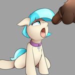  2017 animal_genitalia animal_penis balls blue_eyes coco_pommel_(mlp) collar disembodied_penis duo earth_pony equine equine_penis erection eyelashes female feral friendship_is_magic fur grey_background hair hi_res horse male mammal multicolored_hair my_little_pony neighday penis pony simple_background solo_focus tan_fur tongue tongue_out two_tone_hair 