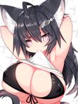  ahoge animal_ear_fluff animal_ears armpits arms_up bikini black_bikini black_hair blush breasts cat_ears cat_tail cleavage covered_nipples front-tie_top hair_ornament hairclip large_breasts long_hair looking_at_viewer mofuaki mouth_hold original smile solo swimsuit tail 