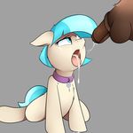  2017 animal_genitalia animal_penis balls blue_eyes coco_pommel_(mlp) collar cum cum_in_mouth cum_inside cum_on_face disembodied_penis duo earth_pony equine equine_penis erection eyelashes female feral friendship_is_magic fur grey_background hair hi_res horse male mammal multicolored_hair my_little_pony neighday penis pony simple_background solo_focus tan_fur tongue tongue_out two_tone_hair 
