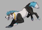  2017 bear black_fur black_lips black_nose blue_hair canine collar digital_media_(artwork) feral fur grey_background hair hybrid kero_tzuki mammal open_mouth panda paws simple_background smile solo teeth tongue white_fur wolf yellow_eyes 