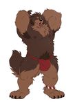  2017 anklet anthro armpit_hair arms_above_head barazoku bracelet brown_fur bulge canine chest_tuft dog fur jewelry male mammal mastiff musclegut muscular muscular_male nipples pecs pubes simple_background slightly_chubby standing takemoto_arashi tibetan_mastiff tongue tuft white_background 