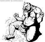  anthro ballbusting balls black_and_white boar cock_and_ball_torture cum cum_on_ground cum_on_leg cum_on_self cumshot cureboltium ejaculation fangs humanoid_penis male mammal monochrome musclegut muscular muscular_male nude orgasm penis porcine simple_background solo white_background 
