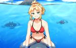  :d ajia_(otya3039) bikini blonde_hair braid breasts cleavage eyebrows_visible_through_hair fate/grand_order fate_(series) french_braid front-tie_top green_eyes grin groin island looking_at_viewer medium_breasts mordred_(fate)_(all) mordred_(swimsuit_rider)_(fate) navel open_mouth partially_submerged ponytail red_scrunchie scrunchie side-tie_bikini smile solo surfboard sweat swimsuit wet 