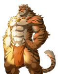  abs anthro biceps bulge claws clothed clothing digital_media_(artwork) feline fur lin_hu looking_at_viewer mammal muscular nekojishi nipples nude pecs solo standing stripes tiger topless underwear unknown_artist white_fur 