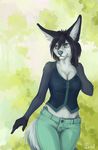  anthro breasts canine clothed clothing digital_media_(artwork) female fur green_eyes mammal smile solo standing ts-cat white_fur 