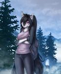  2016 anthro black_hair breasts canine clothed clothing day detailed_background digital_media_(artwork) female hair inner_ear_fluff mammal outside purple_eyes smilek solo ts-cat wolf 