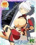  1girl breasts miyabi_(senran_kagura) senran_kagura solo 