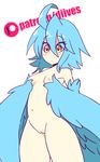  :o ahoge animated animated_gif bangs blue_hair blue_wings blush bouncing_breasts breasts cowboy_shot diives eyebrows_visible_through_hair eyes_visible_through_hair feathered_wings feathers hair_between_eyes harpy heart looking_down monster_girl monster_musume_no_iru_nichijou navel nipples nude paid_reward papi_(monster_musume) parted_lips patreon_logo patreon_reward patreon_username pussy short_hair simple_background small_breasts solo standing white_background winged_arms wings yellow_eyes 