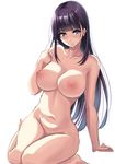  arm_support black_eyes black_hair blush breasts collarbone large_breasts long_hair looking_at_viewer navel nipples nude original piston_ring simple_background sketch solo white_background 