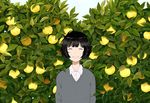  bangs black_hair bob_cut closed_eyes collared_shirt day facing_viewer grey_sweater gumi. long_sleeves original outdoors plant shirt short_hair smile solo sweater white_shirt wing_collar yuzu_(fruit) 