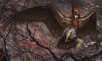  2017 animal_humanoid anisodactyl avian avian_humanoid bird brown_feathers detailed_background digital_media_(artwork) duo feathers female feral harpy humanoid monster_girl_(genre) nude nukerooster 