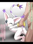  1boy 1girl digimon long_tail pussy pussy_juice tailmon 